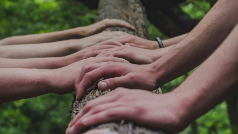 a group of people holding hands on top of a tree